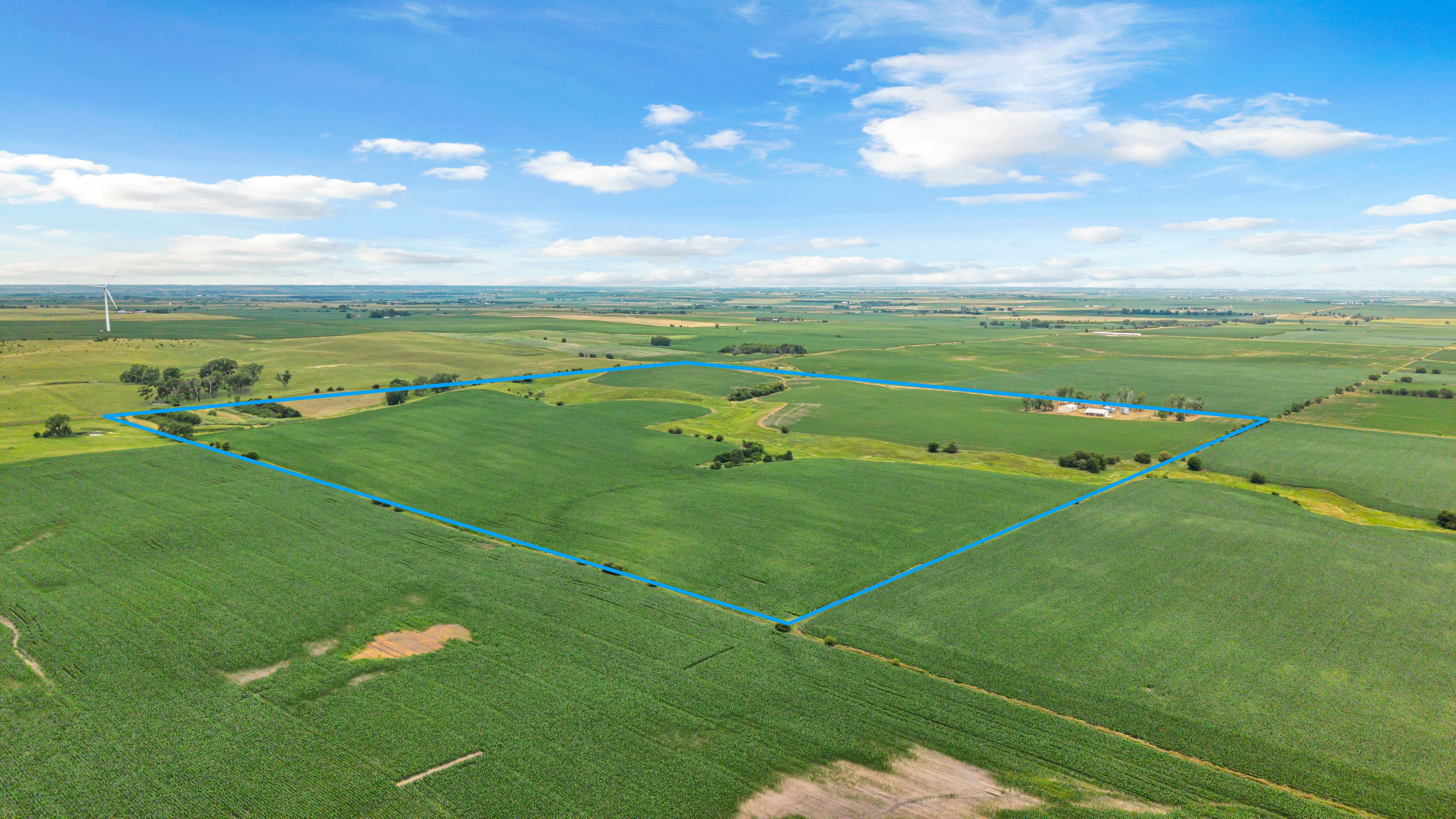 Listing Photo: Blue Boundary Line ii